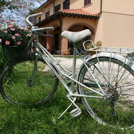 Agriturismo Diciocco Venturina Terme Kültér fotó