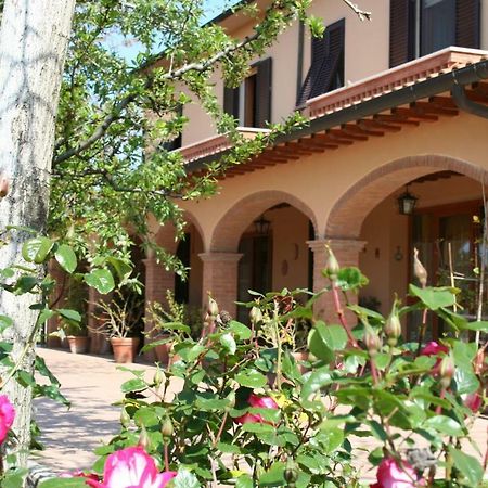 Agriturismo Diciocco Venturina Terme Kültér fotó