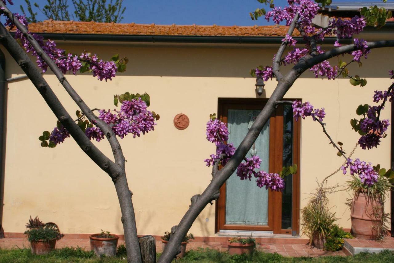 Agriturismo Diciocco Venturina Terme Kültér fotó