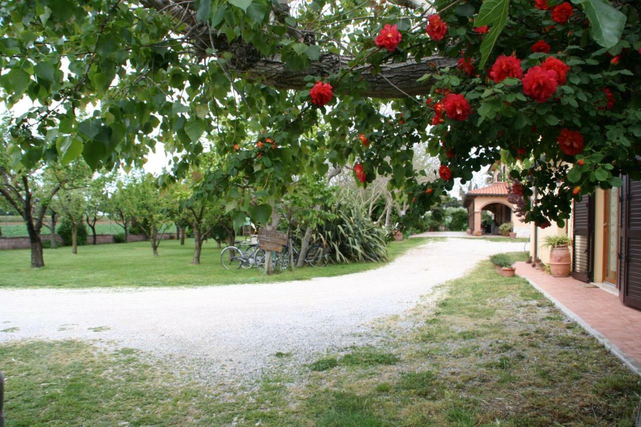 Agriturismo Diciocco Venturina Terme Kültér fotó